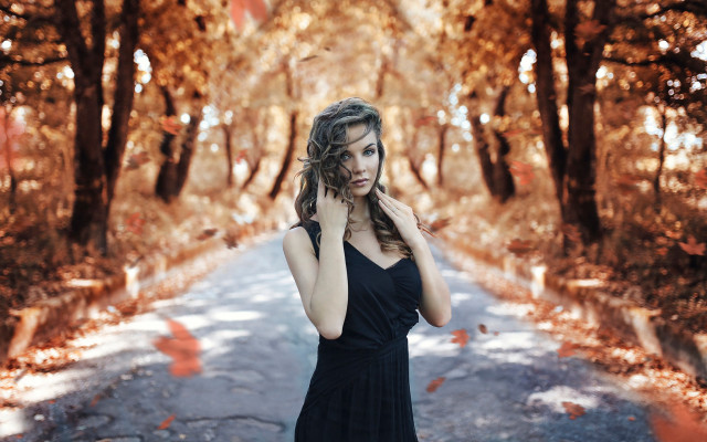 Woman black dress autumn leaves free wallpaper for desktop - medium preview image