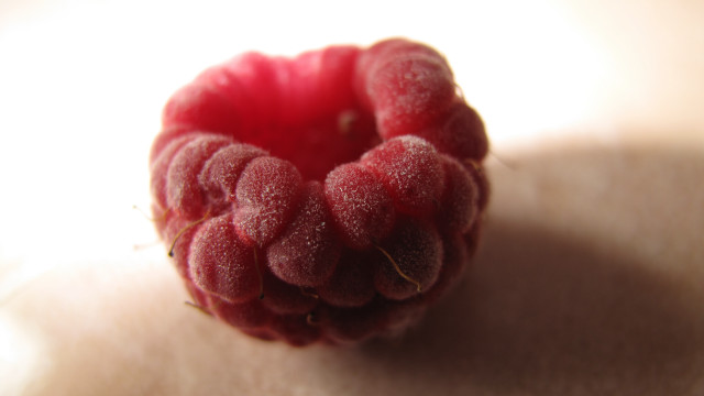 Raspberry shadow arcimboldo berries macro free wallpaper for desktop - medium preview image