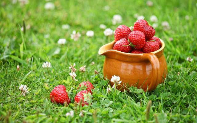 Bowl strawberries grass flower folk free wallpaper for desktop - medium preview image