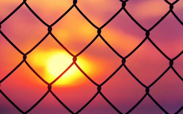 Sunset chainlink fence bird pumpkin free wallpaper for desktop - medium preview image