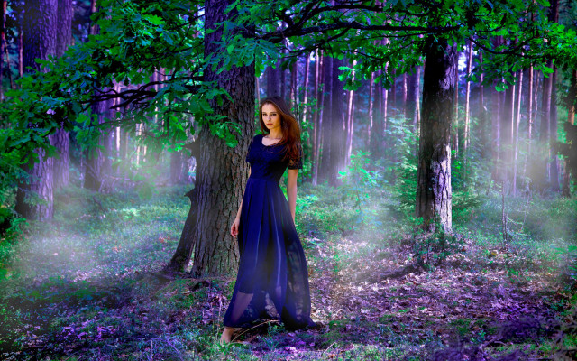 Woman blue dress forest magic free wallpaper for desktop - medium preview image