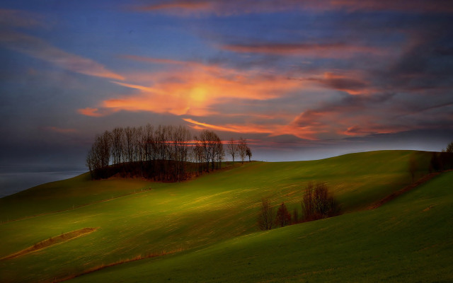 Field trees sunset clouds hill free wallpaper for desktop - medium preview image
