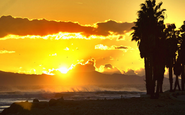 Sunset palm trees water mountain #2 free wallpaper for desktop - medium preview image