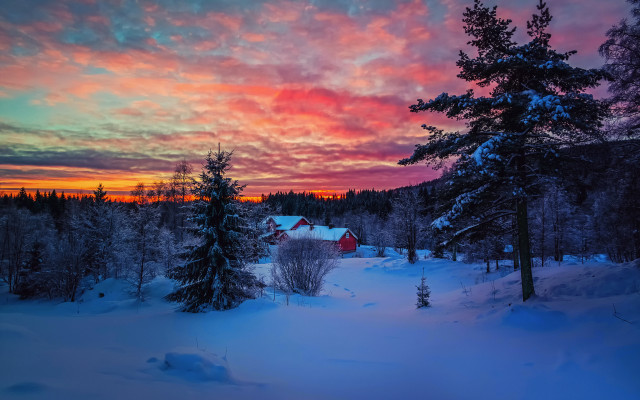 Sunset snowy forest red house free wallpaper for desktop - medium preview image