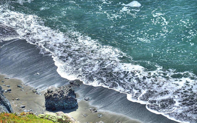 Bird flying over water beach free wallpaper for desktop - medium preview image