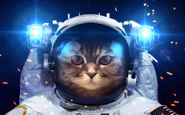Cat astronaut light stars space free wallpaper for desktop - medium preview image
