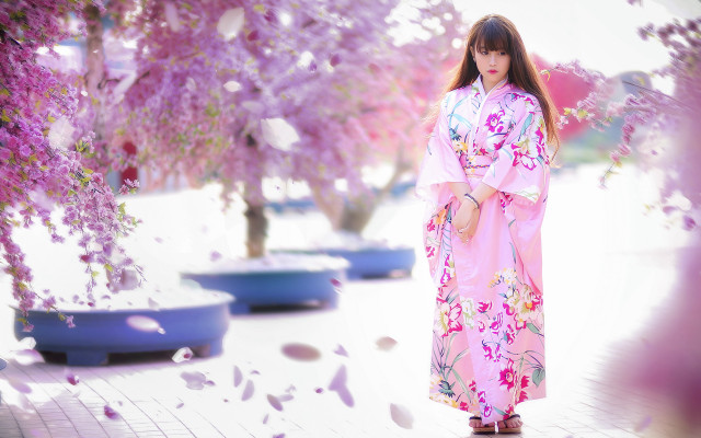 Pink kimono woman falling petals free wallpaper for desktop - medium preview image
