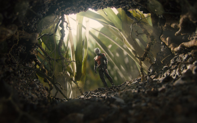 Helmet man cave plants sunlight free wallpaper for desktop - medium preview image