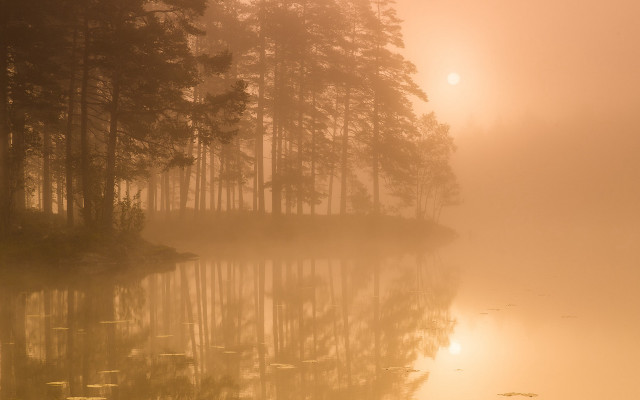 Foggy lake bench trees sunset free wallpaper for desktop - medium preview image