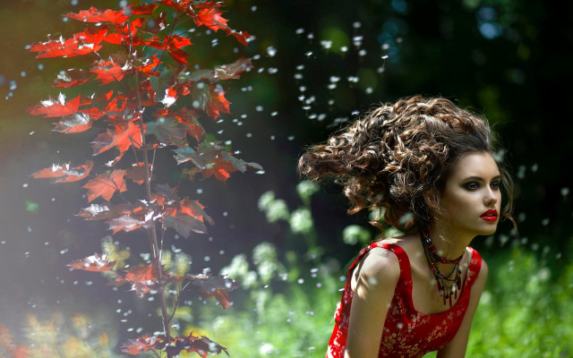 Woman red dress flower field #3 free wallpaper for desktop - medium preview image
