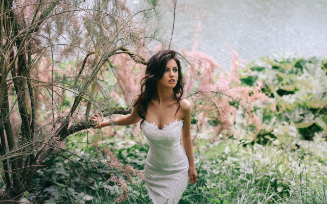 Woman white dress tree flowers free wallpaper for desktop - medium preview image