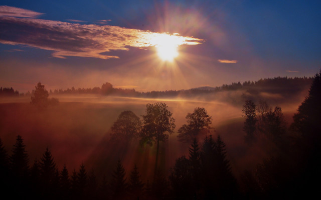 Sunset forest fog trees clouds free wallpaper for desktop - medium preview image