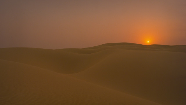 Sunset desert lone bird hazy free wallpaper for desktop - medium preview image