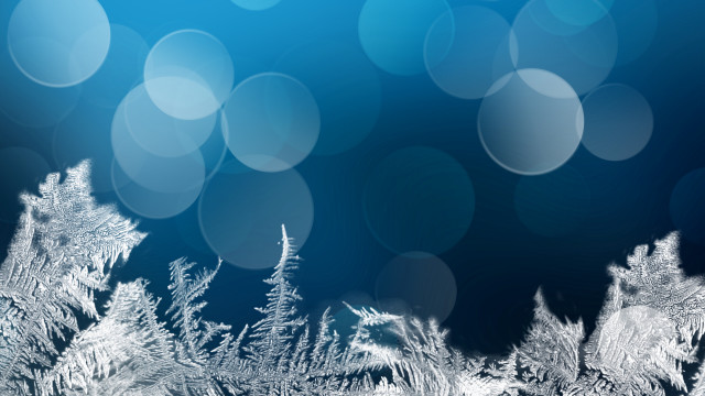 Blue snowflakes blurry tree matte free wallpaper for desktop - medium preview image