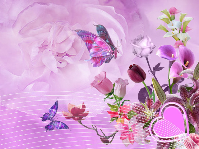 Bouquet butterfly purple background pink free wallpaper for desktop - medium preview image