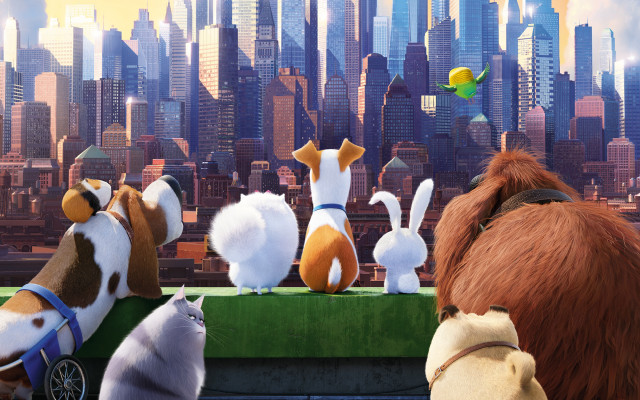 Secret life pets dog bird free wallpaper for desktop - medium preview image