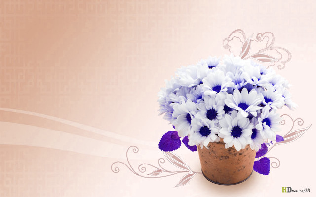 Blue white flowers vase pink free wallpaper for desktop - medium preview image