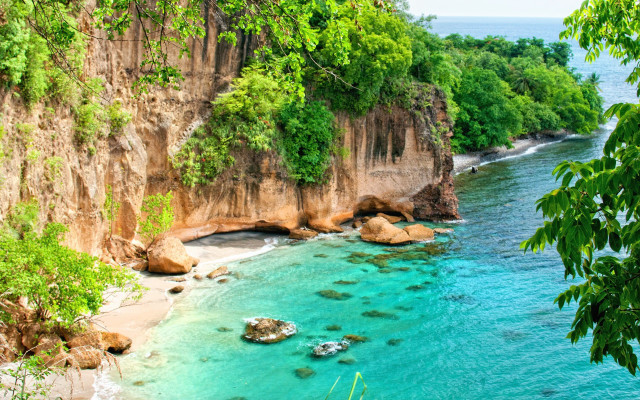 Beach cliff water trees rocks free wallpaper for desktop - medium preview image