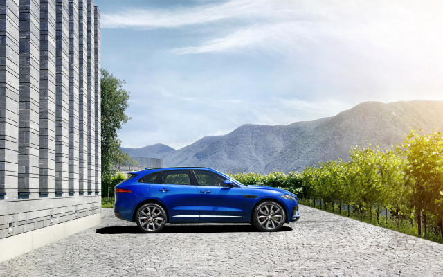 Blue car building vineyard stone free wallpaper for desktop - medium preview image