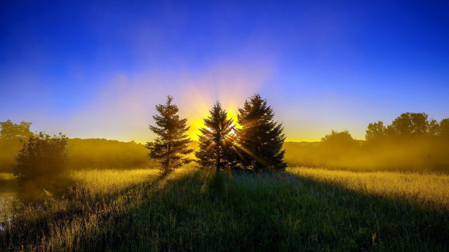 Crepuscular forest lake sunset puzzle free wallpaper for desktop - medium preview image
