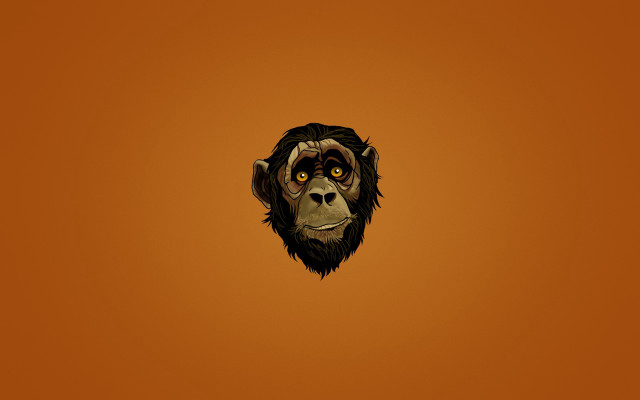 Monkey face orange background black free wallpaper for desktop - medium preview image