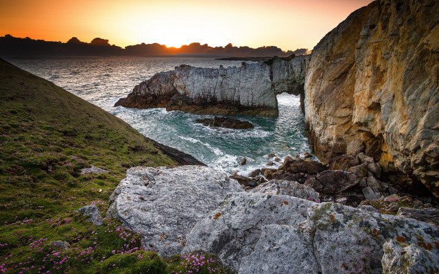 Rocky cliff water sunset flowers free wallpaper for desktop - medium preview image