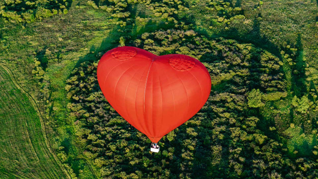 Heart balloon green field forest free wallpaper for desktop - medium preview image
