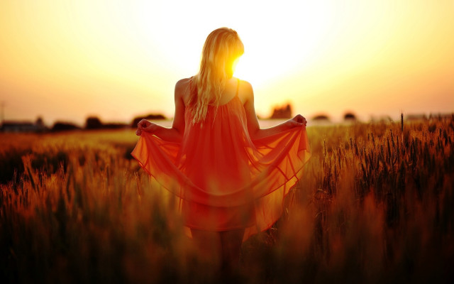 Woman red dress sunset field #2 free wallpaper for desktop - medium preview image