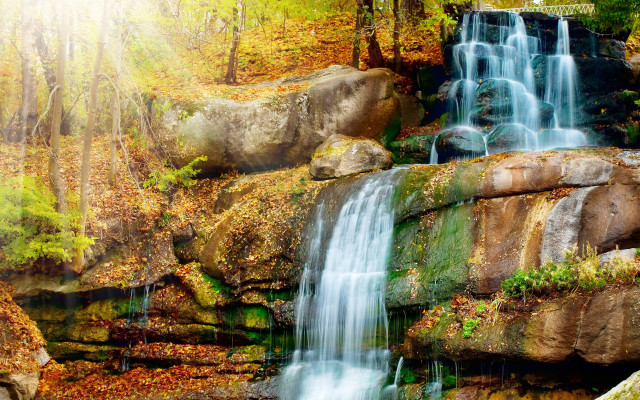 Waterfall forest fall foliage bench free wallpaper for desktop - medium preview image