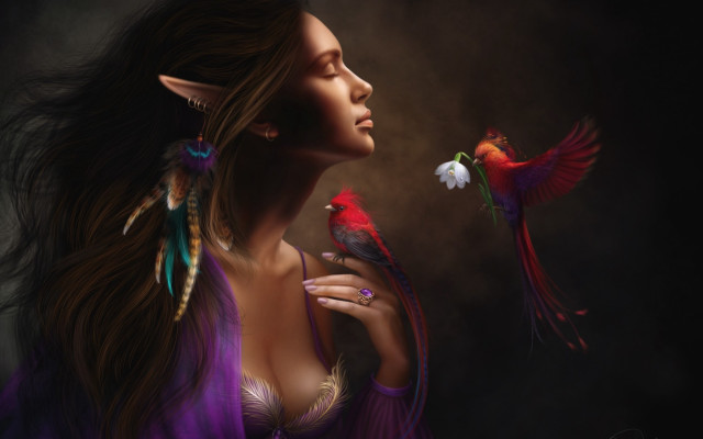 Woman bird flower elf fantasy free wallpaper for desktop - medium preview image