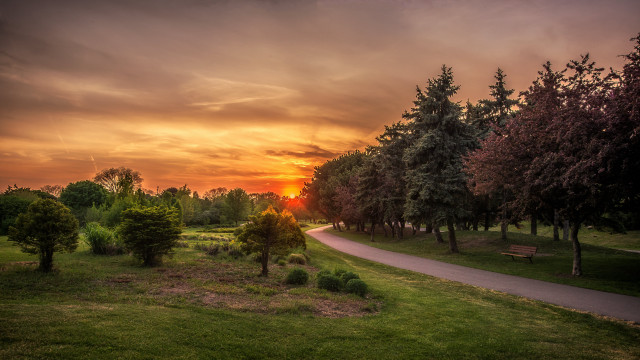Sunset park bench trees path free wallpaper for desktop - medium preview image