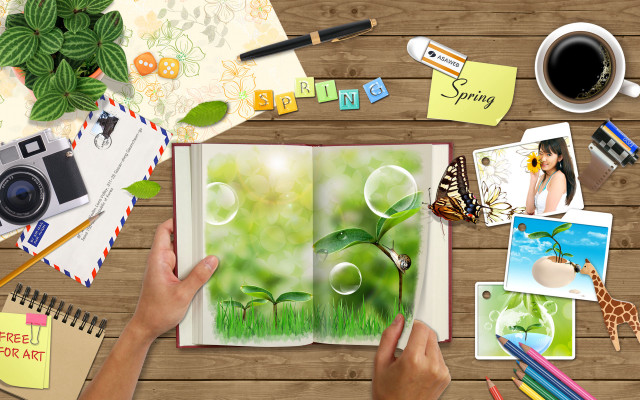 Person holding book camera coffee free wallpaper for desktop - medium preview image