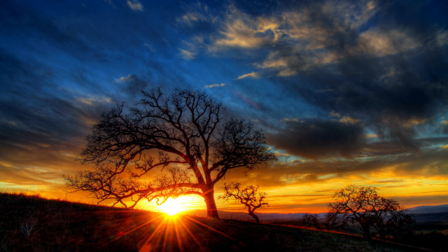 Tree hill sunset clouds trail free wallpaper for desktop - medium preview image