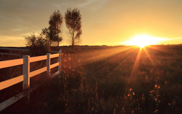 Sunset field white fence trees free wallpaper for desktop - medium preview image