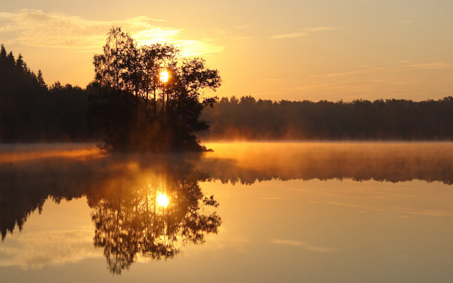 Lake tree sunrise fog city free wallpaper for desktop - medium preview image