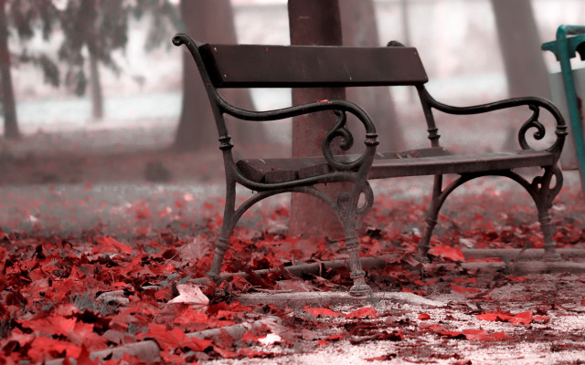 Autumn park bench red leaves free wallpaper for desktop - medium preview image
