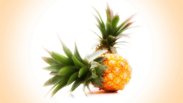 Pineapple gradient background plant vines free wallpaper for desktop - medium preview image