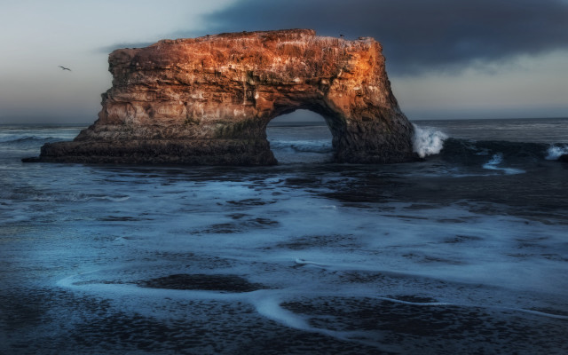 Ocean rock formation bird cloud free wallpaper for desktop - medium preview image