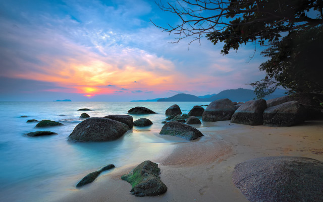 Beach rocks water sunset tree free wallpaper for desktop - medium preview image
