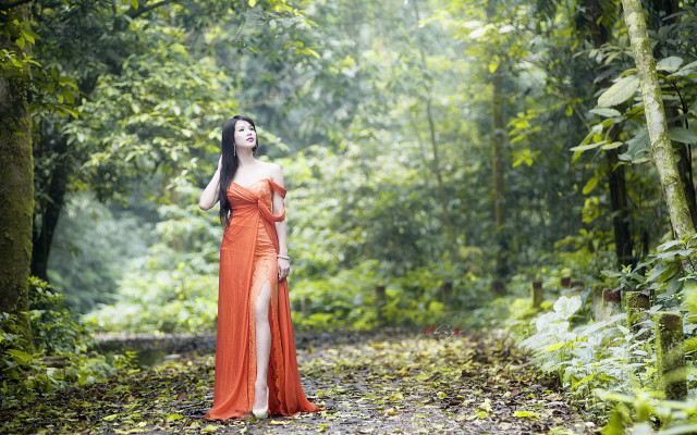 Woman red dress woods portrait free wallpaper for desktop - medium preview image