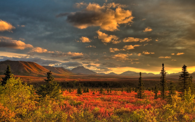 Sunset mountains forest cityscape clouds free wallpaper for desktop - medium preview image