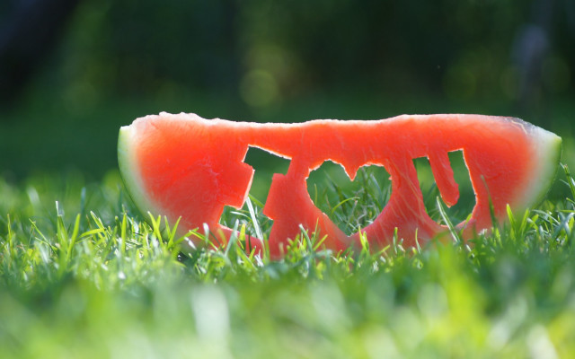 Watermelon love grass 3d render free wallpaper for desktop - medium preview image