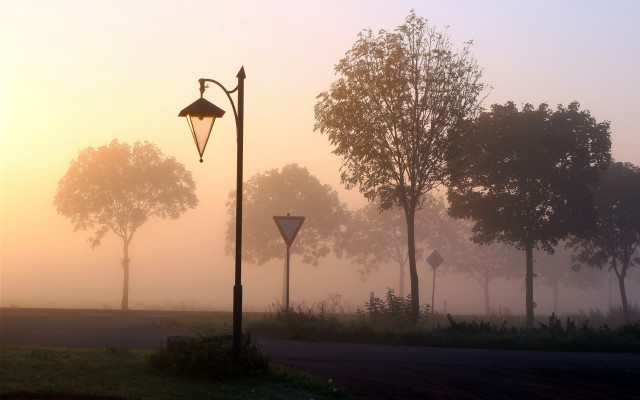 Foggy park streetlights trees sunset free wallpaper for desktop - medium preview image