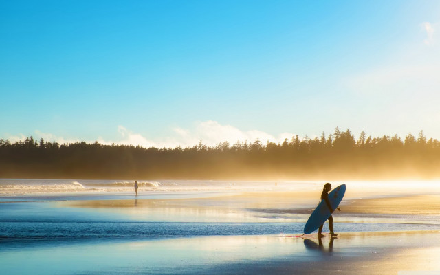 Beach surfboard trees sun girl free wallpaper for desktop - medium preview image