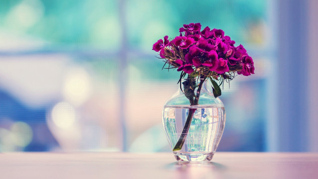 Vase purple flowers table window free wallpaper for desktop - medium preview image
