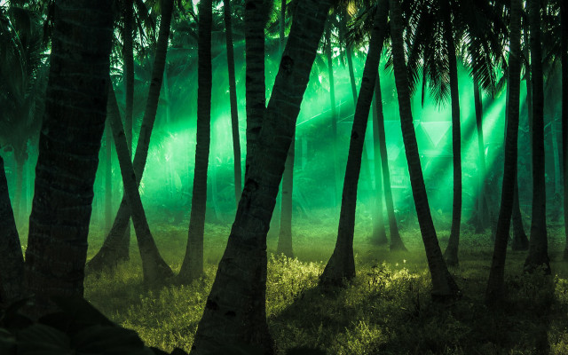 Bamboo forest green light holography free wallpaper for desktop - medium preview image