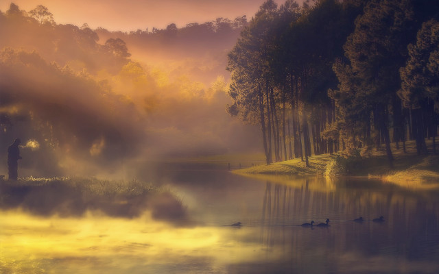 Lake ducks misty sunset australian free wallpaper for desktop - medium preview image