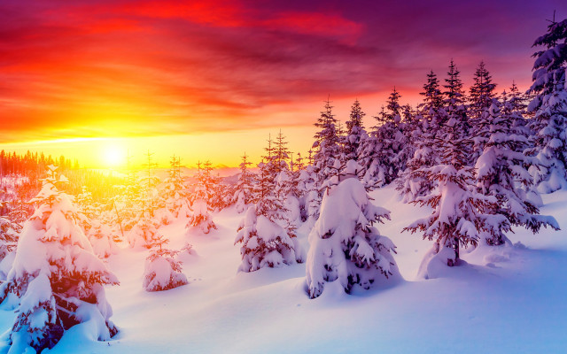Sunset snowy forest bob ross free wallpaper for desktop - medium preview image