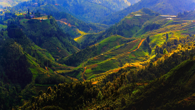 Valley trees train autumn landscape free wallpaper for desktop - medium preview image