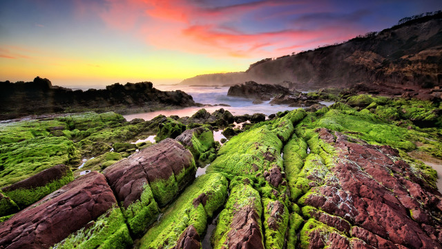 Green moss rock sunset blooming free wallpaper for desktop - medium preview image